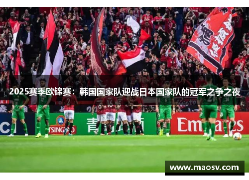 2025赛季欧锦赛：韩国国家队迎战日本国家队的冠军之争之夜