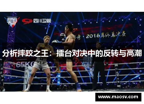 分析摔跤之王：擂台对决中的反转与高潮