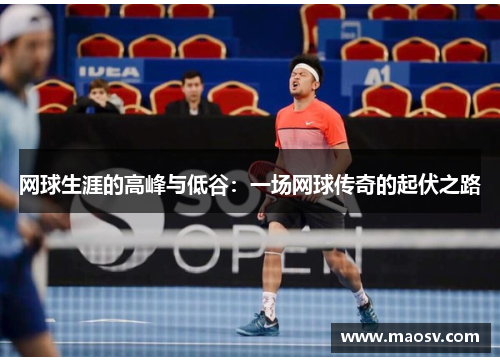 网球生涯的高峰与低谷：一场网球传奇的起伏之路