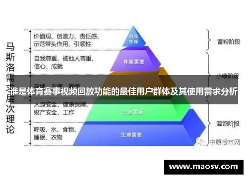 谁是体育赛事视频回放功能的最佳用户群体及其使用需求分析