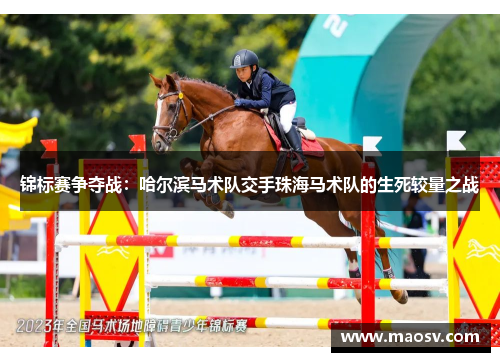 锦标赛争夺战：哈尔滨马术队交手珠海马术队的生死较量之战